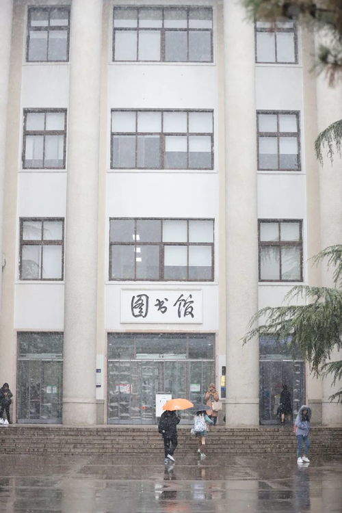北科初雪有多美，看這里！